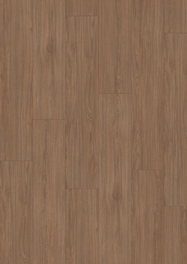 Brown Casella Oak